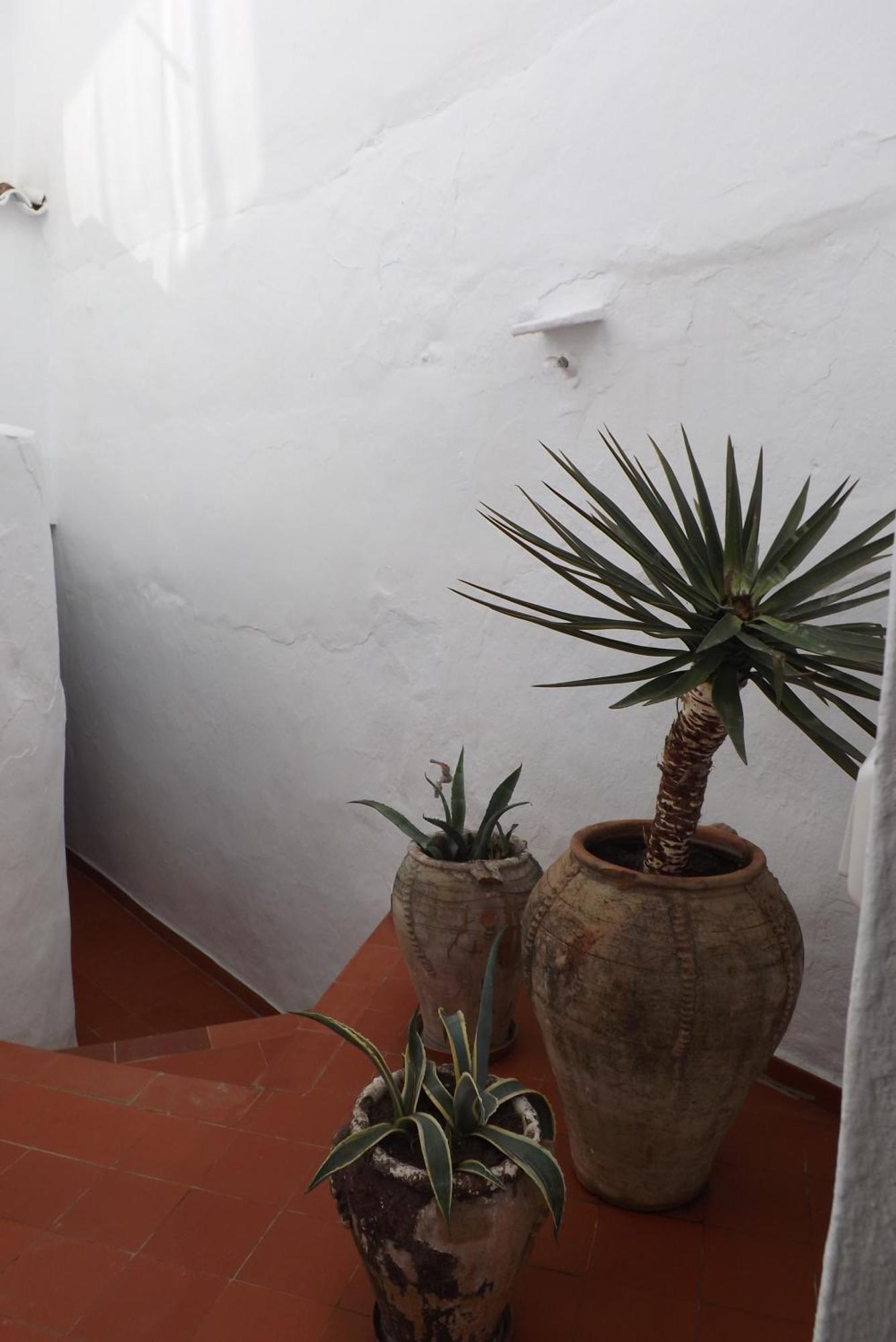 Casa Elvira Villa Cómpeta Kültér fotó
